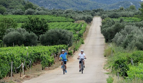 Istrian cycling tour