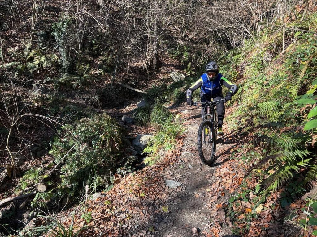Mountain biker riding a forest trail in Finale Ligure