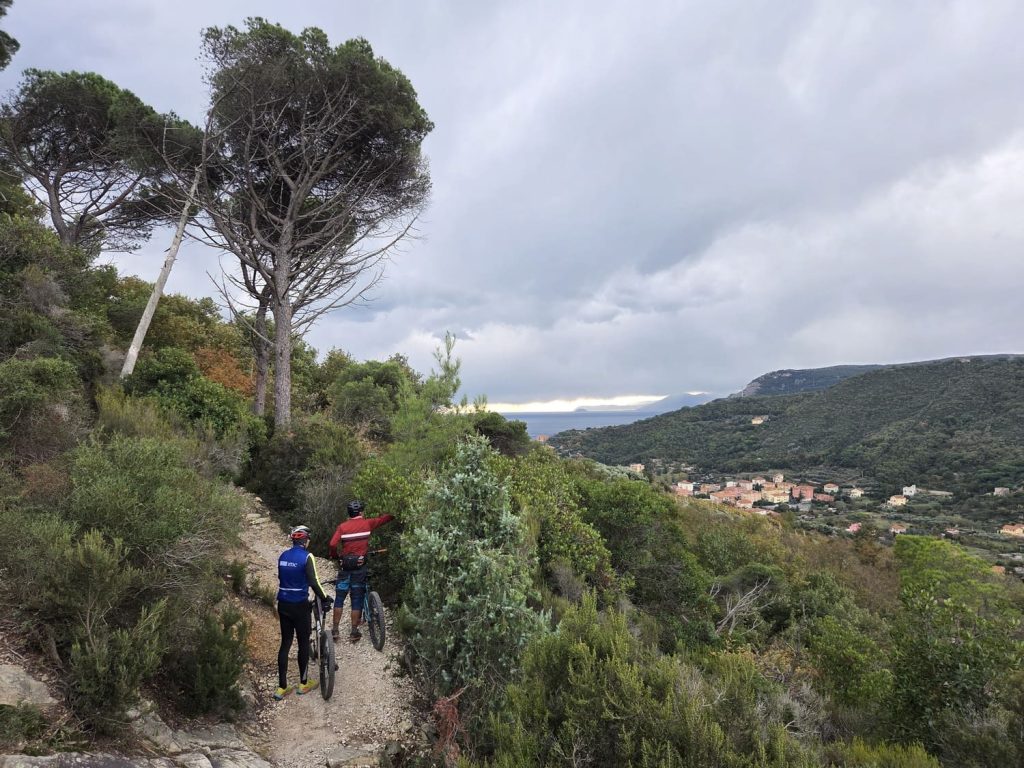 Mountain bikers riding singletrack through Mediterranean scrub in Finale Ligure