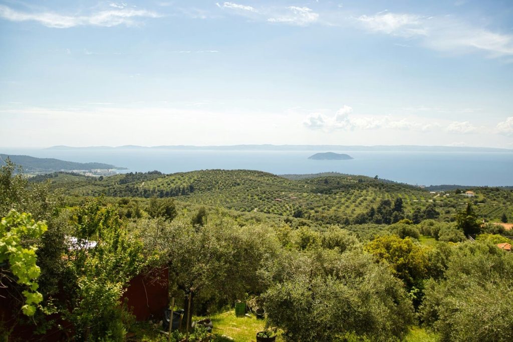 Mediterranean olive groves and sea view for cycling escapes
